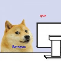 когда напился и блеванул на кровать, Мем Собака за компьютером