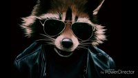 Создать мем Зайчик