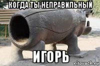 когда ты неправильный игорь