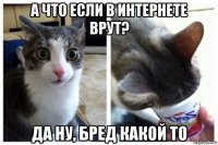 а что если в интернете врут? да ну, бред какой то