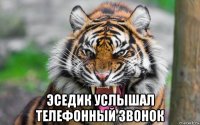  эседик услышал телефонный звонок