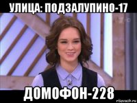 улица: подзалупино-17 домофон-228