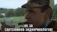  ну, за сантехников-эндокринологов!