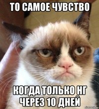 то самое чувство когда только нг через 10 дней