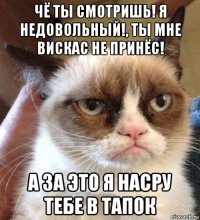 чё ты смотришь! я недовольный!, ты мне вискас не принёс! а за это я насру тебе в тапок