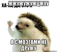 жжужужужцжуу я с мозгами не дружу