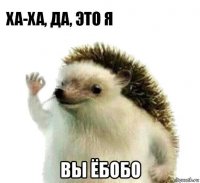  вы ёбобо