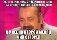 15-18 тыр видяха. 2,5 тыр/мес выхлоп. 6-7 месяцев только на отбив видяхи а у нее на второй месяц чип отгорел