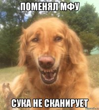 поменял мфу сука не сканирует