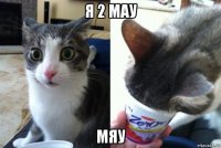я 2 мау мяу
