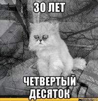 30 лет четвертый десяток