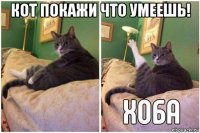 кот покажи что умеешь! 