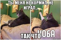 ты меня не кормил, не играл... так что