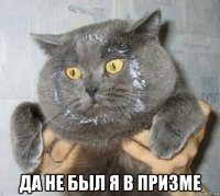  да не был я в призме