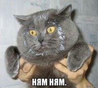  ням ням.