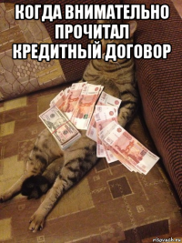 когда внимательно прочитал кредитный договор 