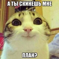 а ты скинешь мне план?