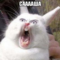 сааааша 