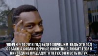  уверен, что 2018 год будет хорошим. ведь это год собаки, а собаки верные животные, любят тебя и никогда не предадут. а петух, он и есть петух.