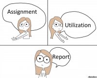 Assignment Utilization Report
