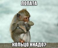 лопата кольцо ннадо?