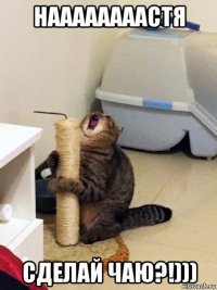 наааааааастя сделай чаю?!)))