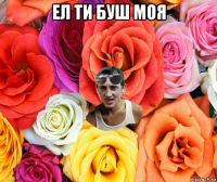 ел ти буш моя 