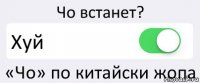 Чо встанет? Хуй «Чо» по китайски жопа