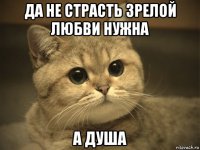 да не страсть зрелой любви нужна а душа