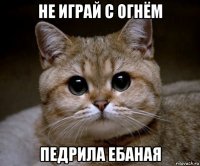 не играй с огнём педрила ебаная