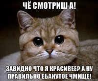 чё смотриш а! завидно что я красивее? а ну правильно ебанутое чмище!