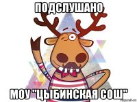 подслушано моу "цыбинская сош"