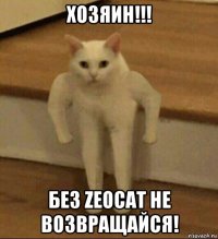 хозяин!!! без zeocat не возвращайся!