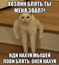 хозяин блять ты меня звал?! иди нахуй мышей лови блять. окей нахуй