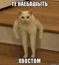 те наебашыть хвостом