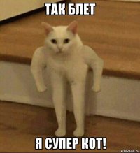 так блет я супер кот!