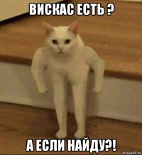 вискас есть ? а если найду?!