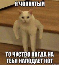 я чокнутый то чуство когда на тебя наподает кот