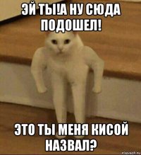 эй ты!а ну сюда подошел! это ты меня кисой назвал?