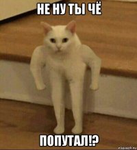 не ну ты чё попутал!?