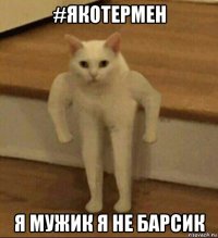 #якотермен я мужик я не барсик