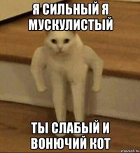 я сильный я мускулистый ты слабый и вонючий кот