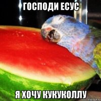 господи есус я хочу кукуколлу