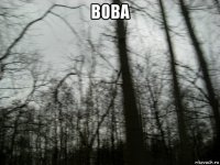 вова 