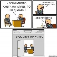 - Если много снега на улице, то что делать ? - Отчитаться о вывезенных кубах. - Вы приняты ! Комитет по снегу