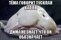 тёма говорит тусклая капля дима не знает, что он обозначает