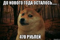 до нового года осталось...... 470 рублей