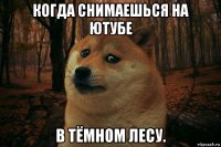 когда снимаешься на ютубе в тёмном лесу.