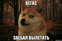 вегас заебал вылетать