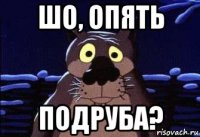 шо, опять подруба?